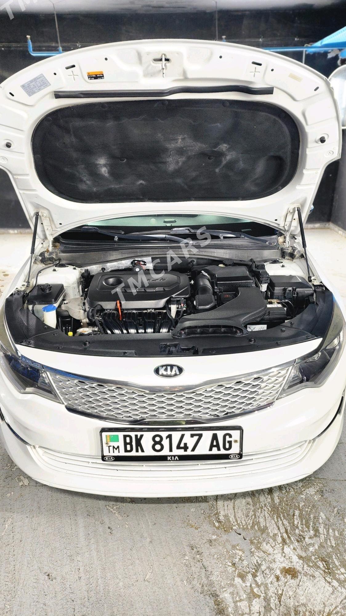 Kia Optima 2016 - 172 000 TMT - 11 mkr - img 5