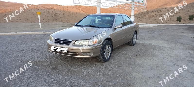 Toyota Camry 2001 - 107 000 TMT - Magdanly - img 2