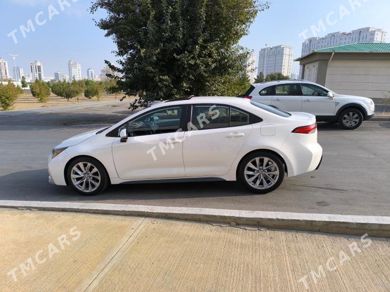 Toyota Corolla 2020 - 275 000 TMT - Ашхабад - img 3