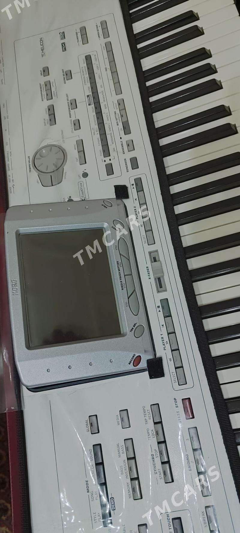 korg pa 2 X - Garabekewül - img 2