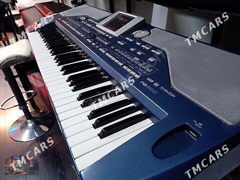 Korg Pa 800 - Мары - img 2