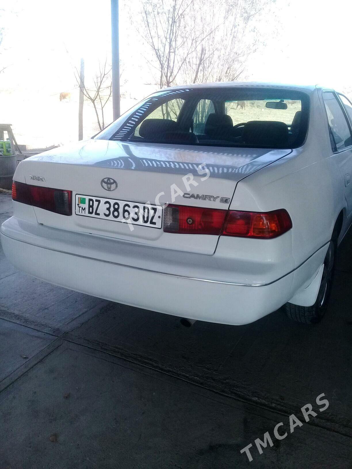 Toyota Camry 2001 - 95 000 TMT - Акдепе - img 5