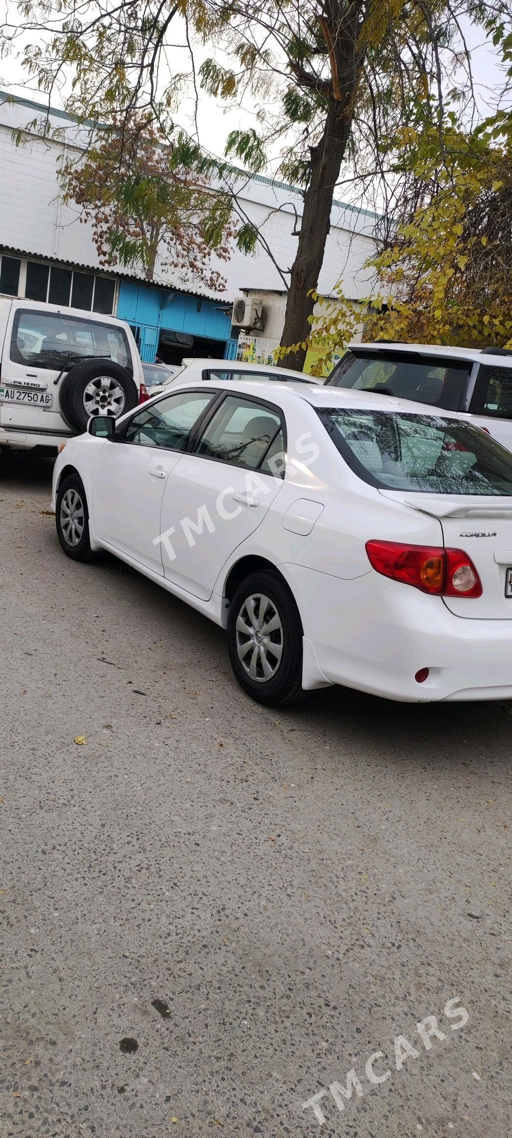 Toyota Corolla 2009 - 135 000 TMT - 11 mkr - img 3