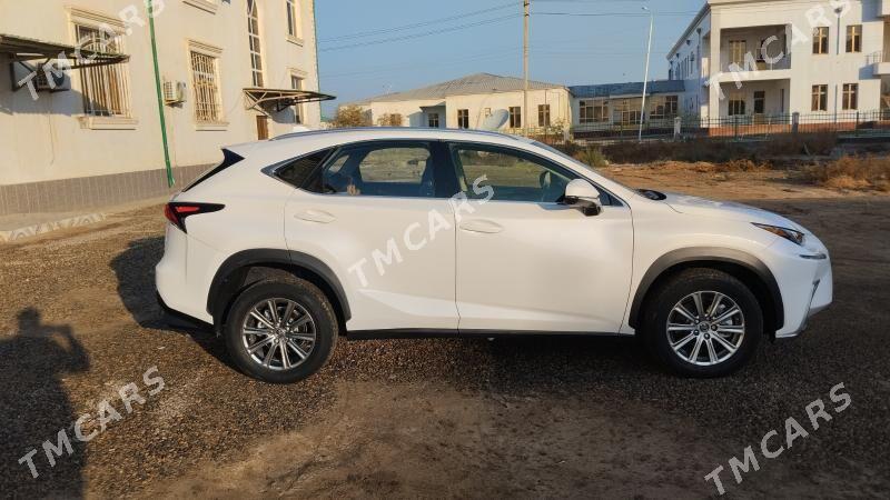 Lexus NX 300 2021 - 340 000 TMT - Baýramaly - img 2