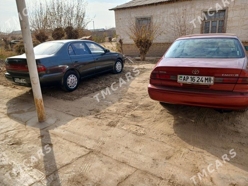 Toyota Camry 1999 - 108 000 TMT - Sakarçäge - img 2