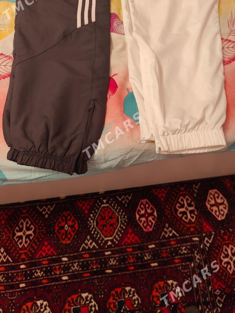 balak - Daşoguz - img 3