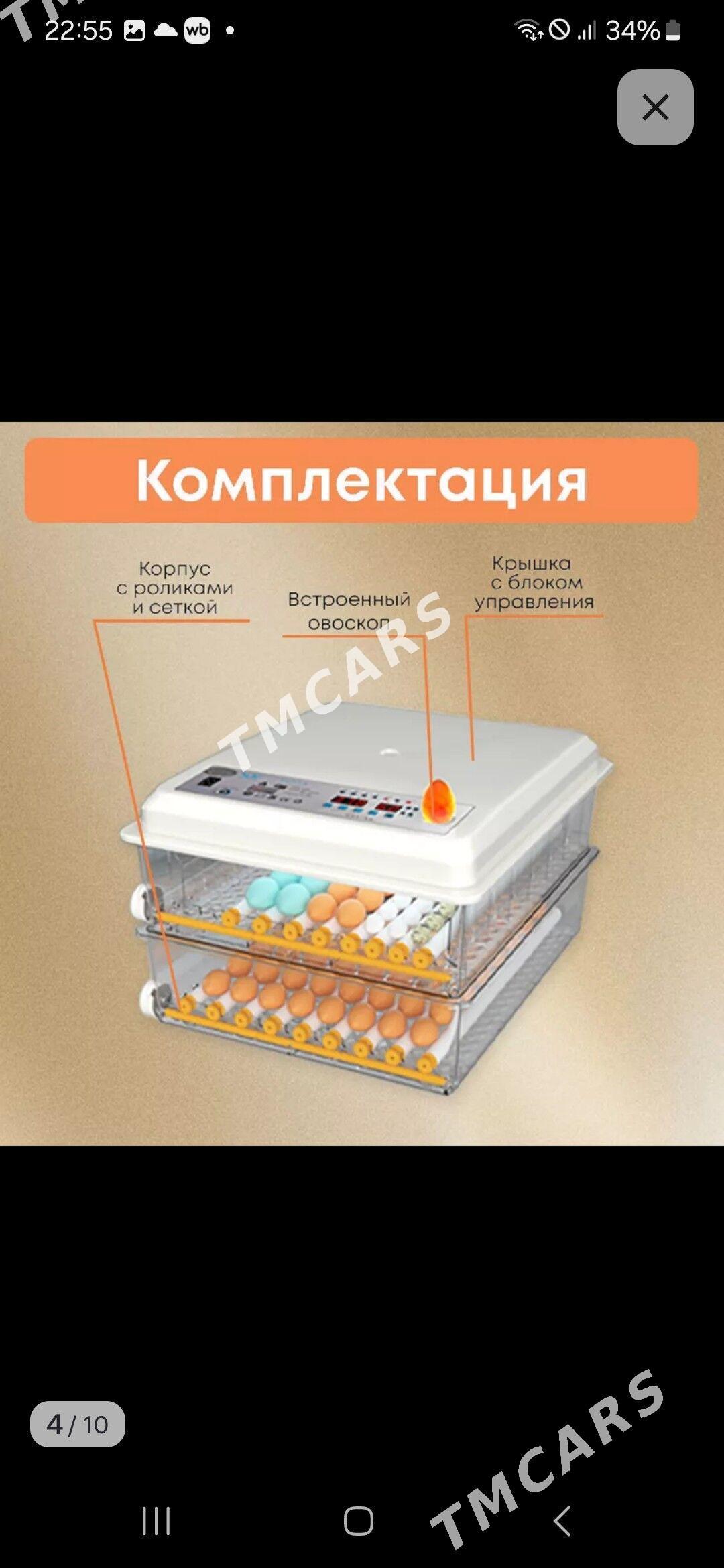 inkobator - Мары - img 2