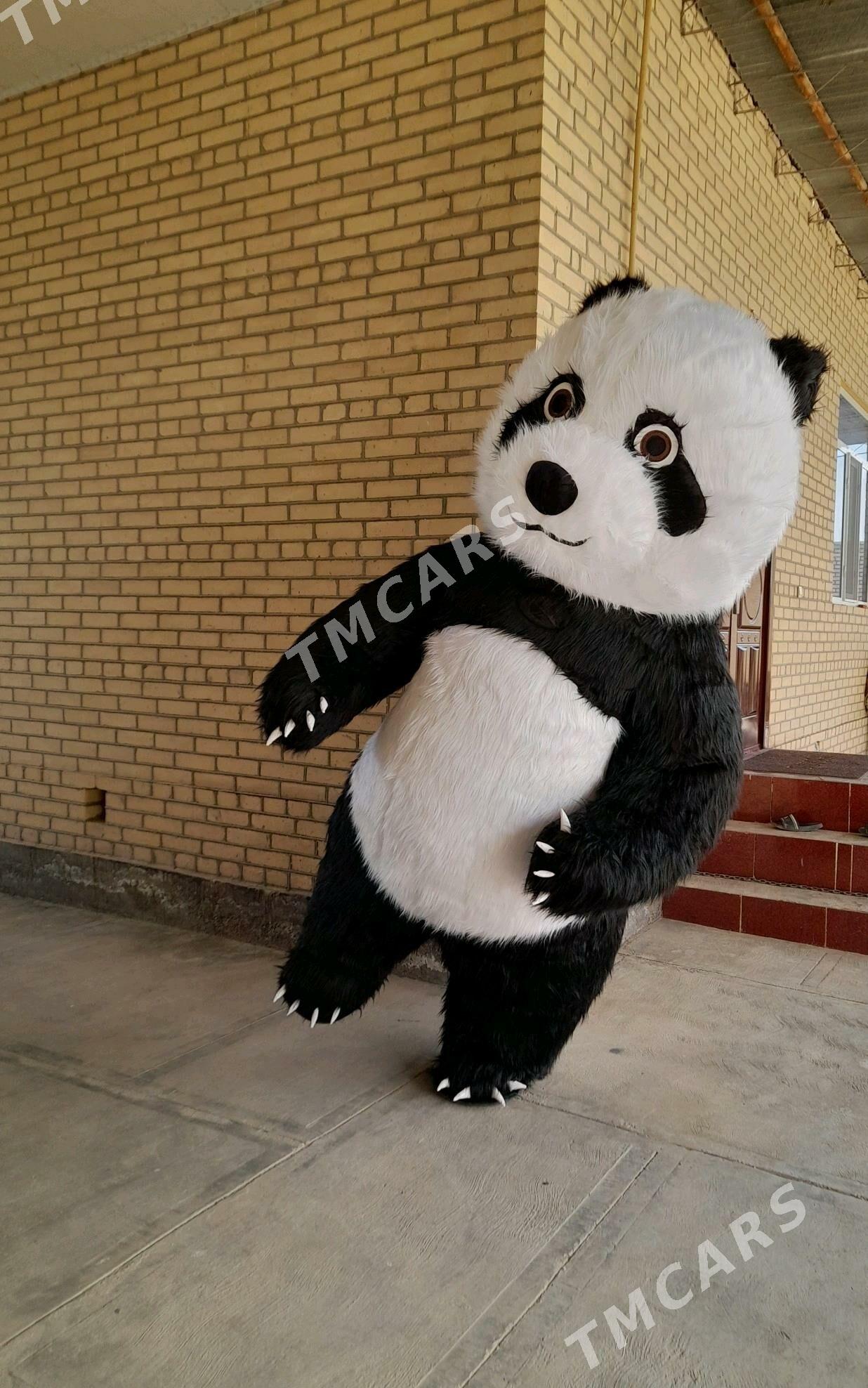 Panda - Garabekewül - img 2