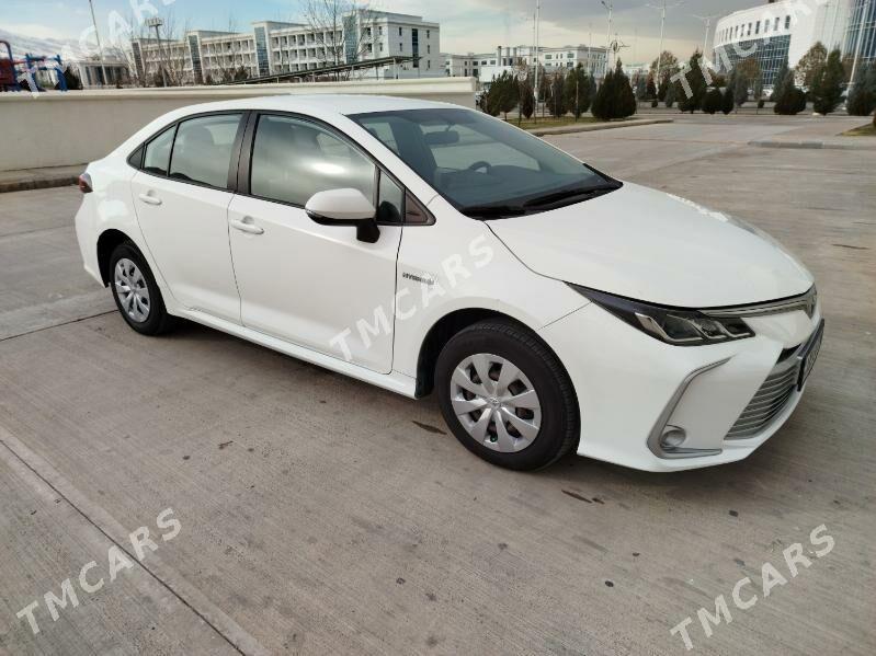 Toyota Corolla 2019 - 270 000 TMT - Ruhabat (90-njy razýezd) - img 7