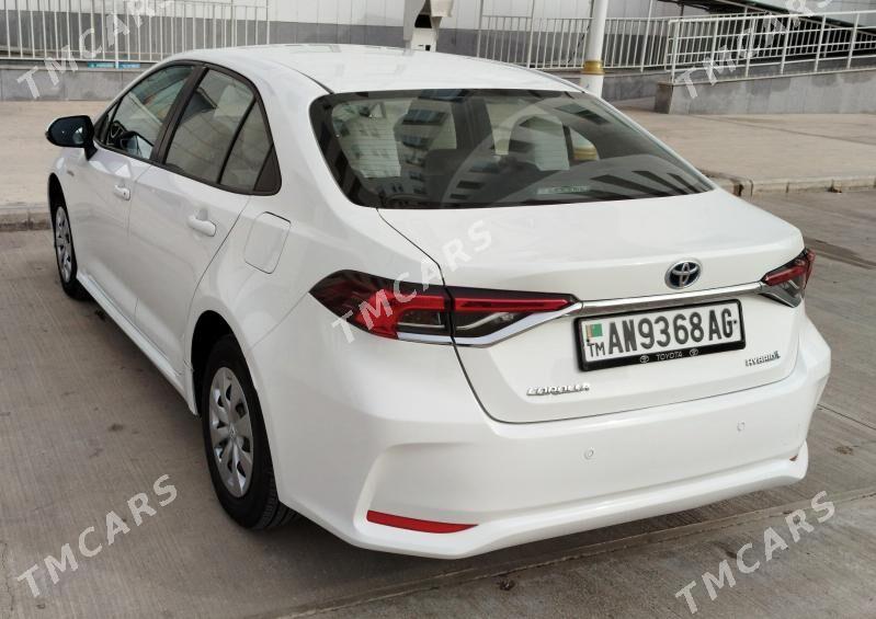 Toyota Corolla 2019 - 270 000 TMT - Ruhabat (90-njy razýezd) - img 8