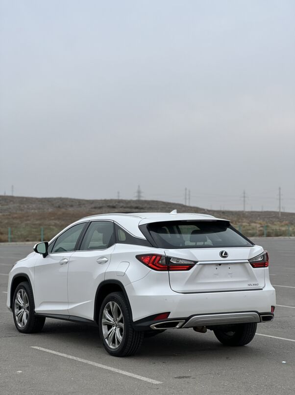 Lexus RX 350 2020 - 590 000 TMT - Aşgabat - img 10