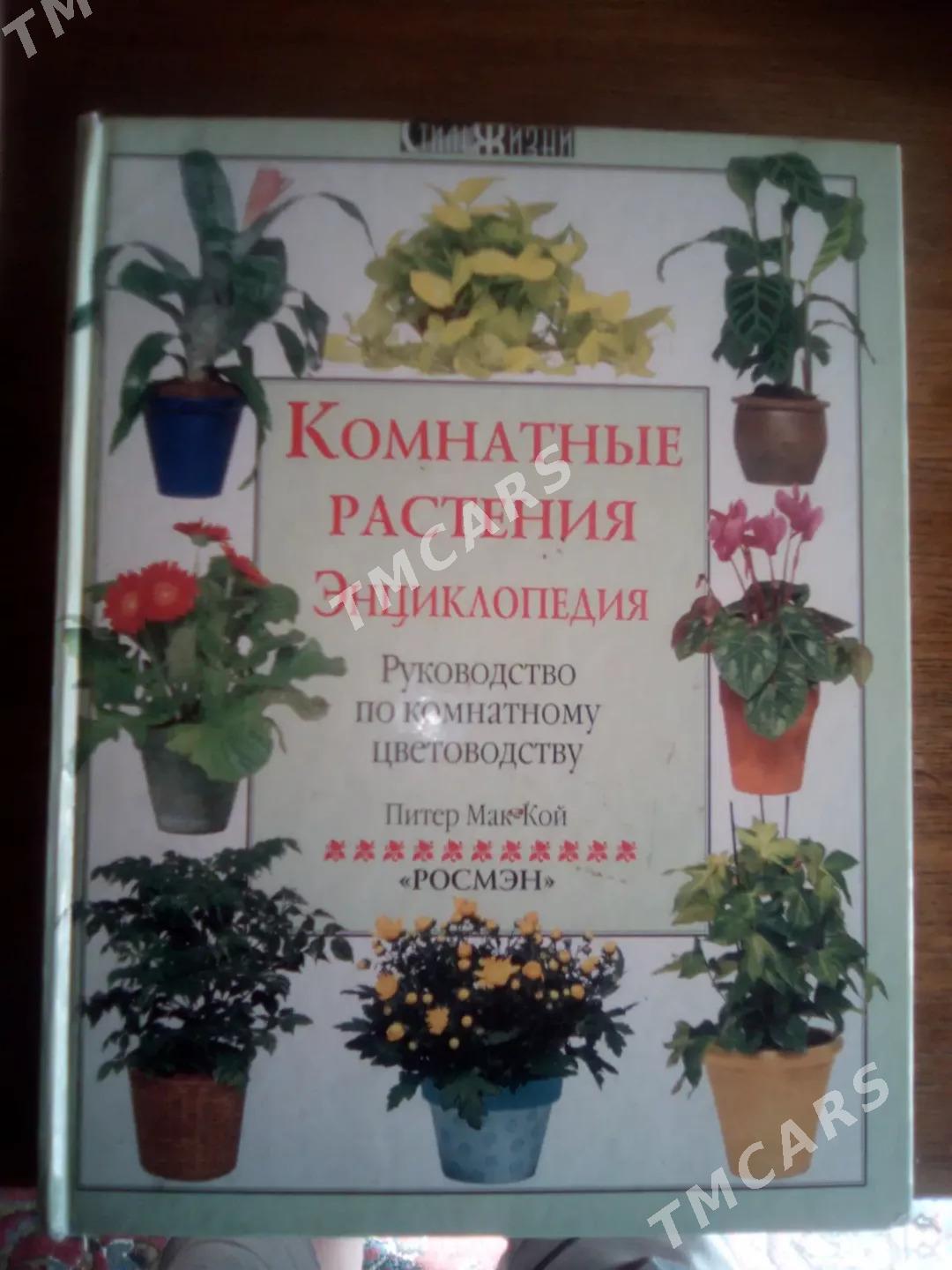 КНИГИ,УЧЕБНИКИ,КОМПЮТЕР,ПОСОБИ - Мары - img 6