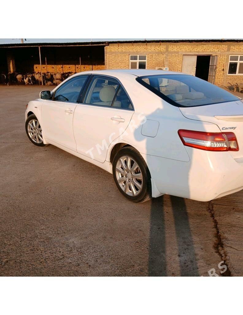 Toyota Camry 2010 - 130 000 TMT - Gökdepe - img 3