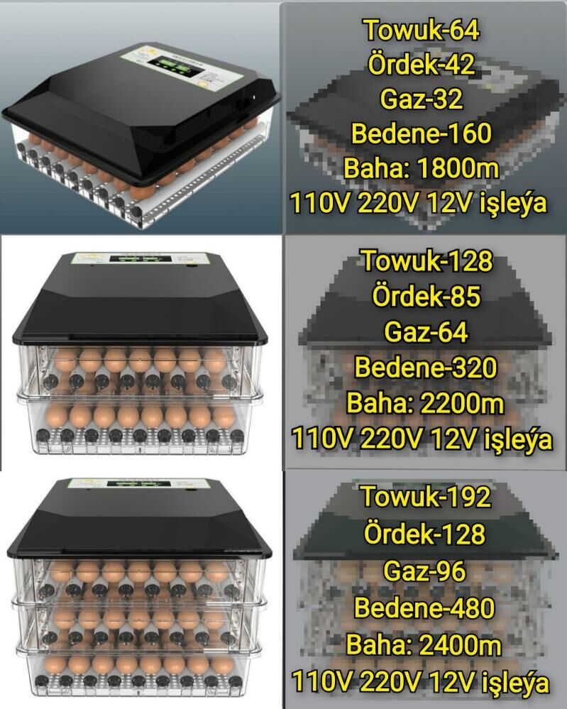 Инкубатор Jüýje Bedene Towuk - Aşgabat - img 3
