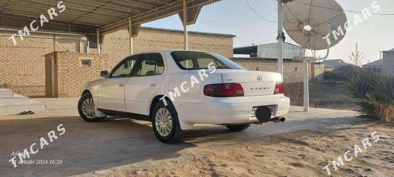 Toyota Camry 1996 - 66 000 TMT - Sakarçäge - img 3