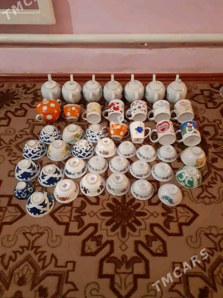 pasudalar - Daşoguz - img 1