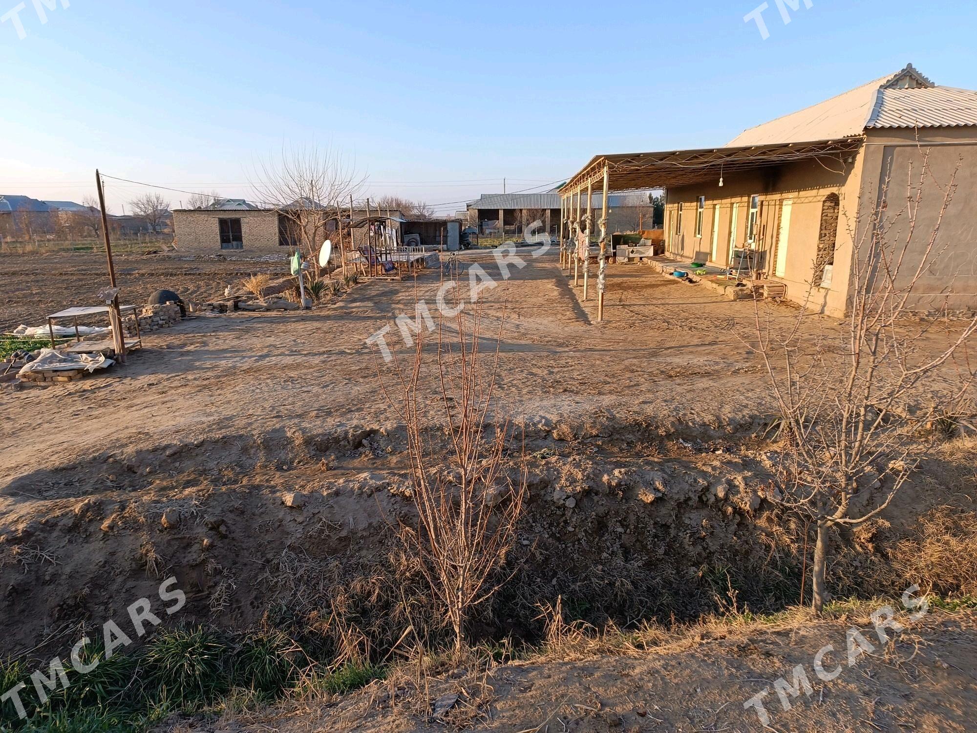 Satlyk jaý - Türkmengala - img 3