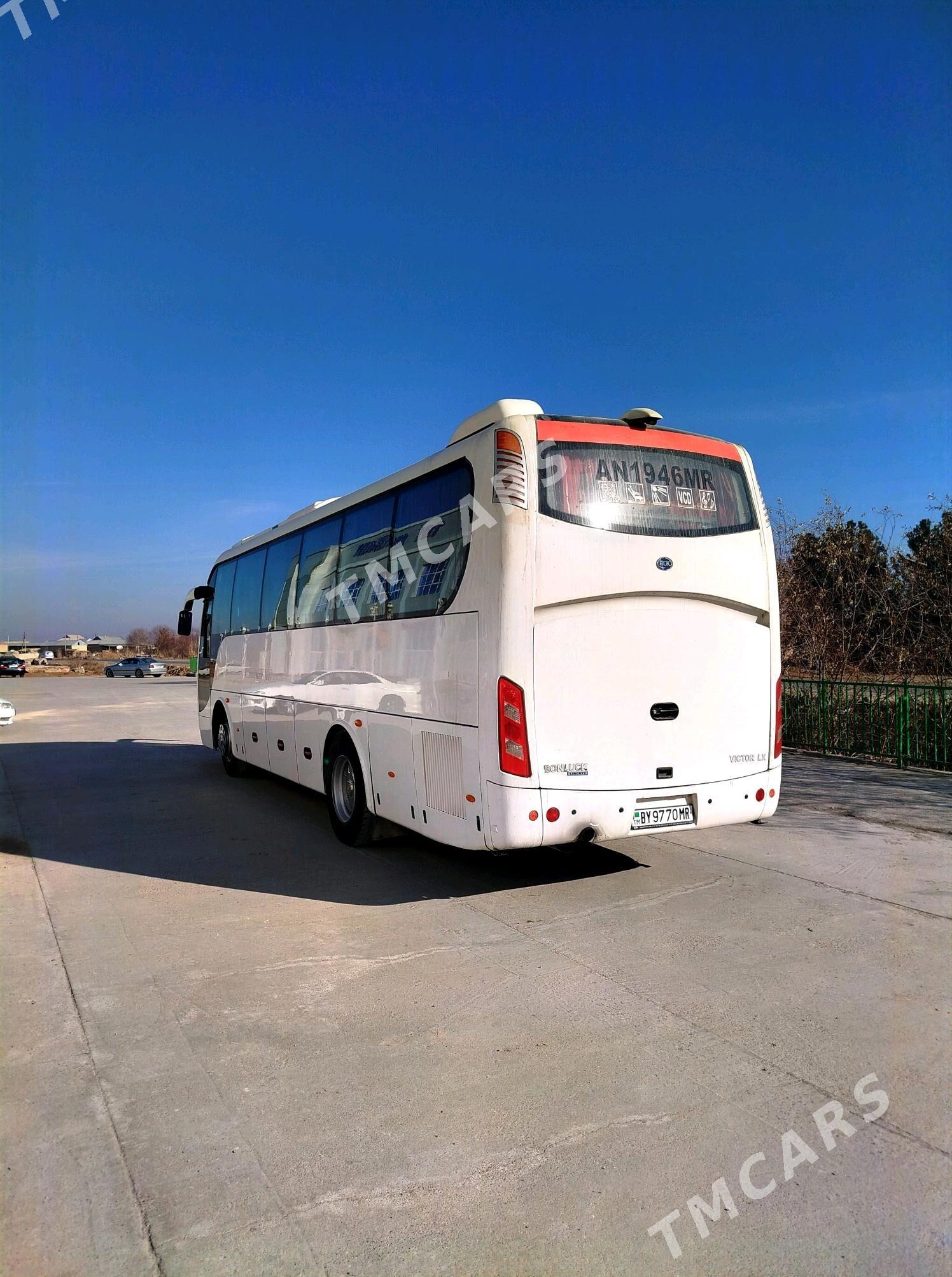 Toyota Coaster 2013 - 550 000 TMT - Mary - img 3