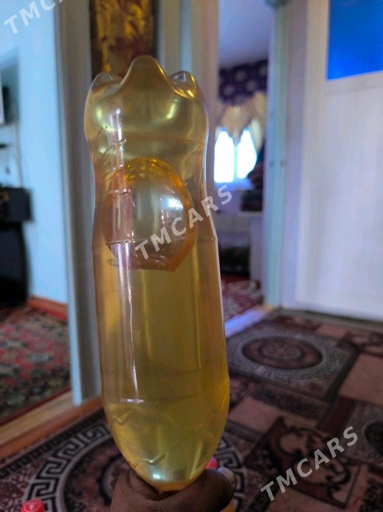 Tejen ary baly - Köneürgenç - img 3