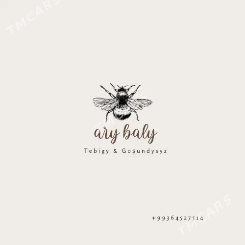 Ary baly - Balkanabat - img 2