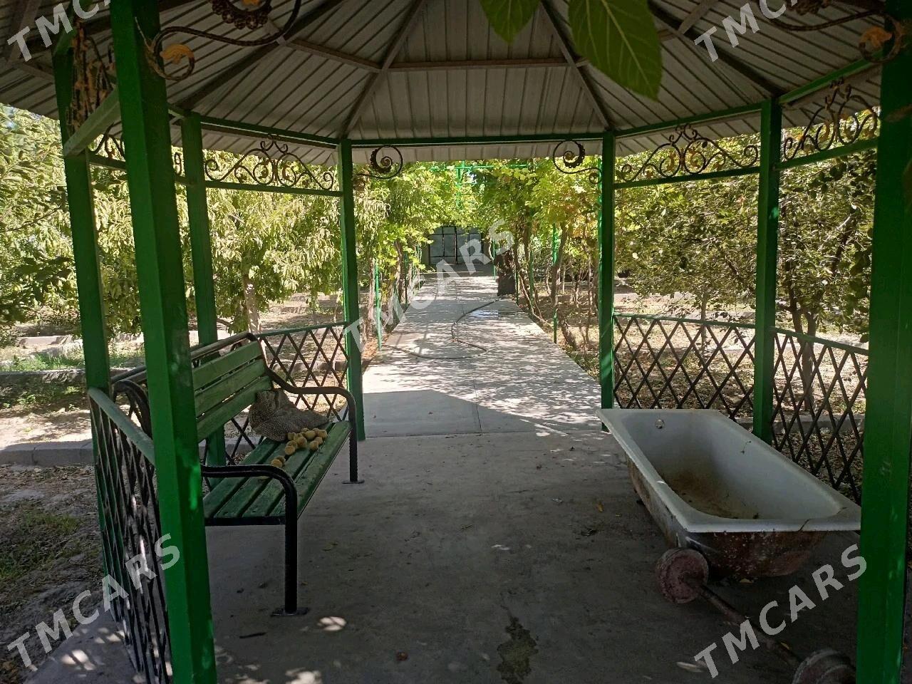 kelejar  18 sotak - Aşgabat - img 10