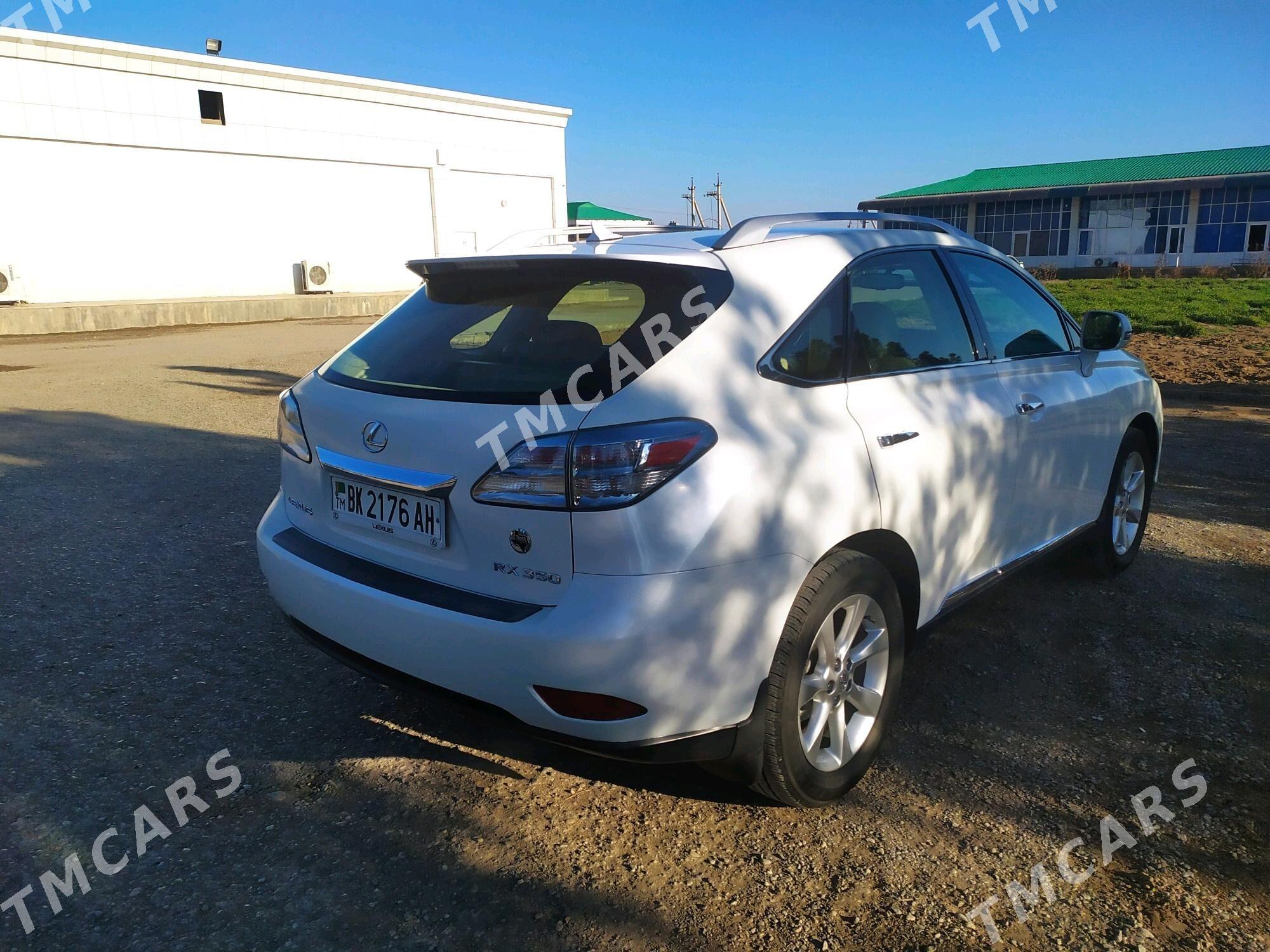 Lexus RX 350 2010 - 310 000 TMT - Tejen - img 8