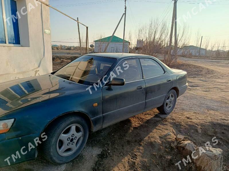 Toyota Windom 1996 - 18 000 TMT - Daşoguz - img 2