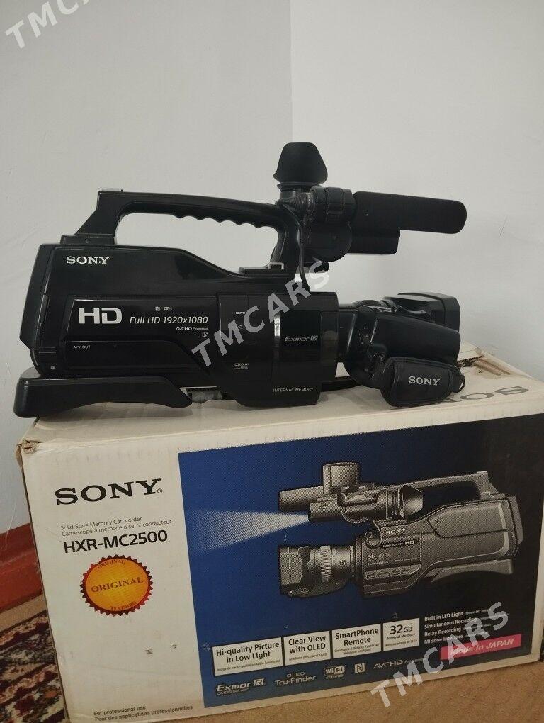 Sony HXR-MC2500 - Sakarçäge - img 3