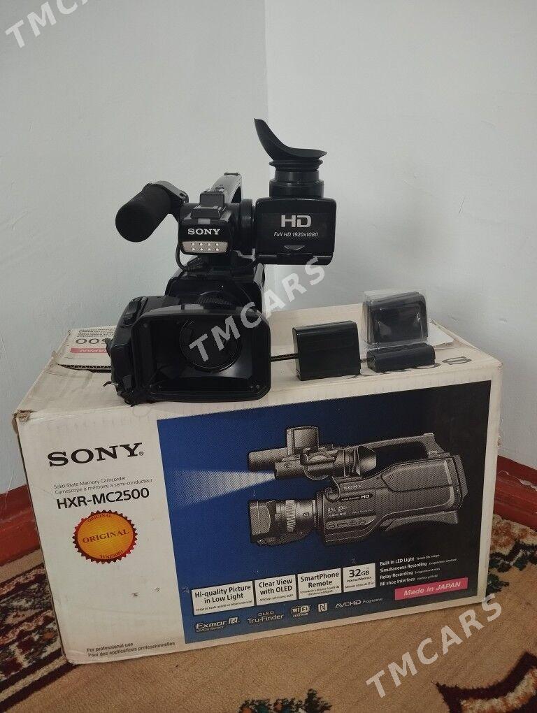 Sony HXR-MC2500 - Sakarçäge - img 2