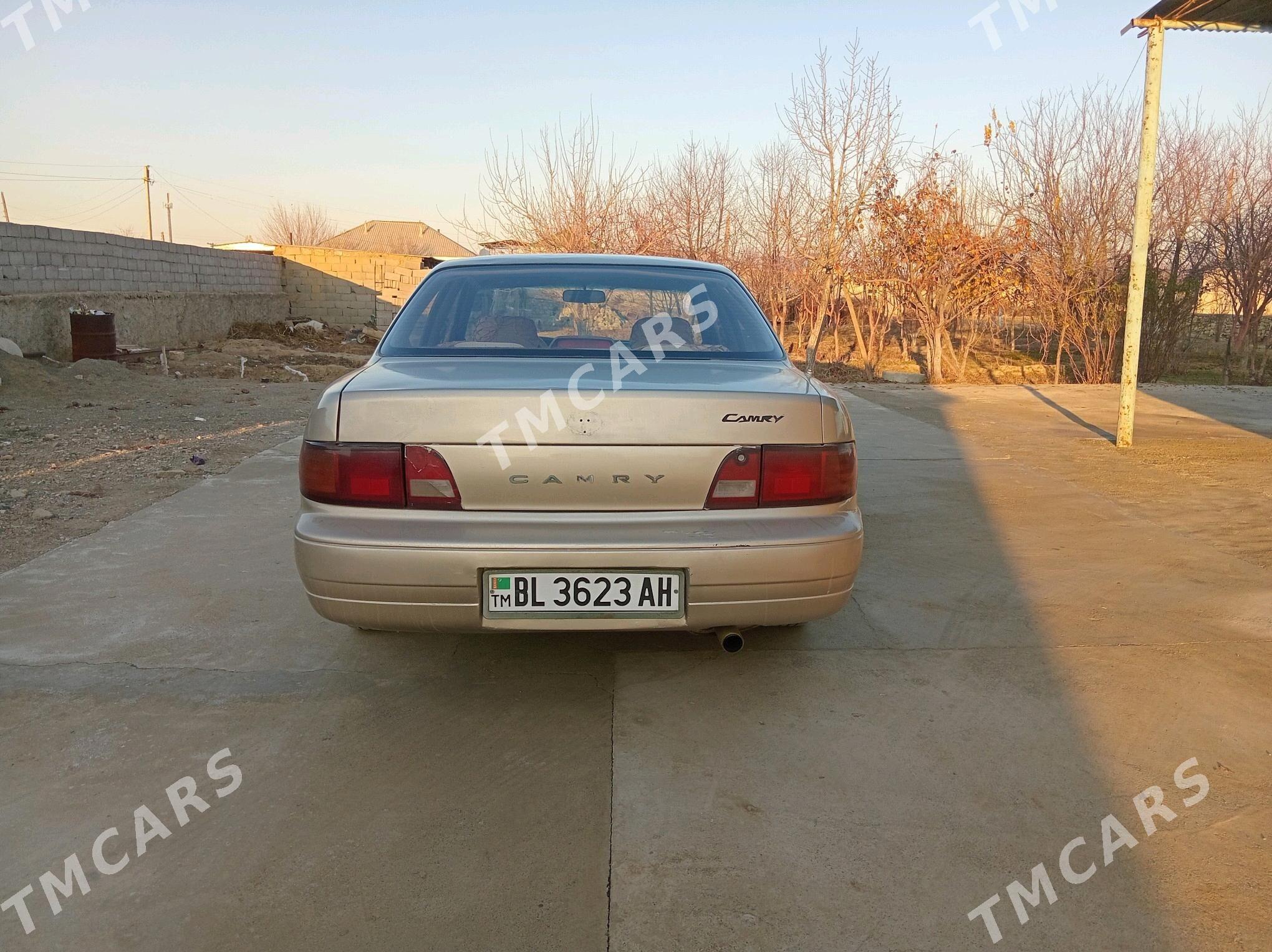 Toyota Camry 1995 - 65 000 TMT - Bäherden - img 2