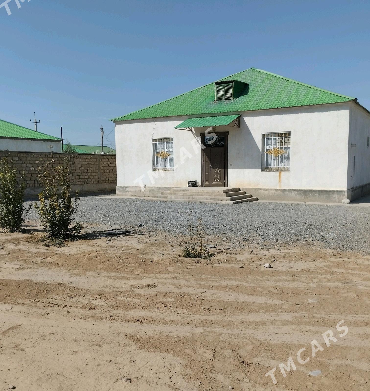 anew magtymguly 16sot - Ak bugdaý etraby - img 1
