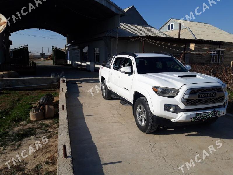 Toyota Tacoma Xtra 2019 - 420 000 TMT - Gökdepe - img 3