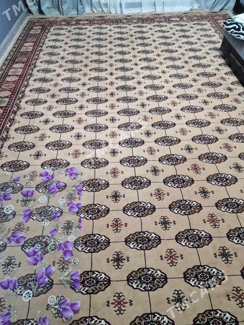 haly - Türkmenbaşy - img 2