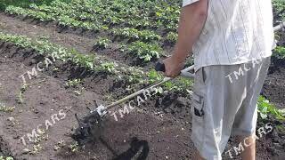 Yer suryan otog kulte edyan - Ашхабад - img 3