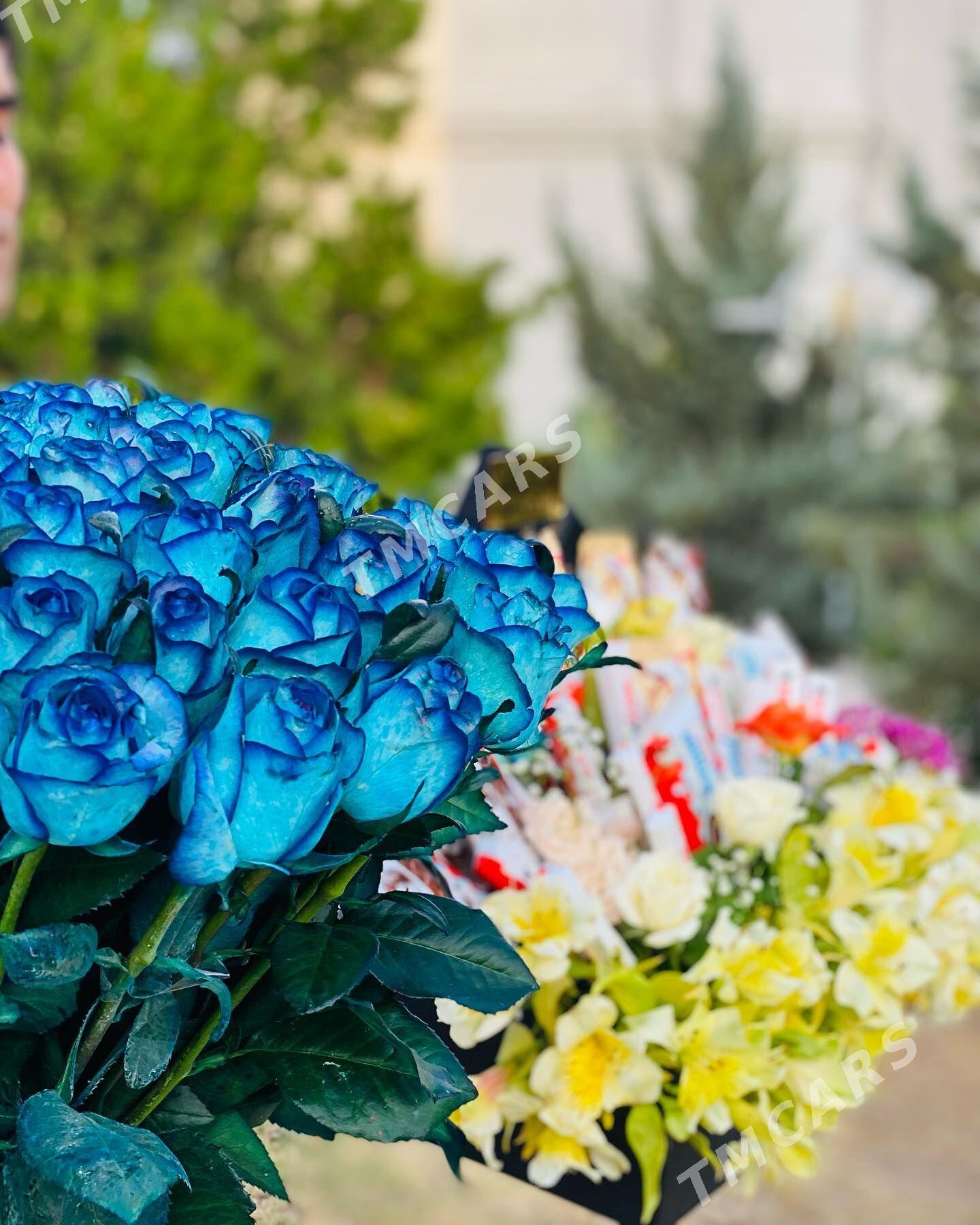 Gül,roza gul dostawka - Aşgabat - img 4
