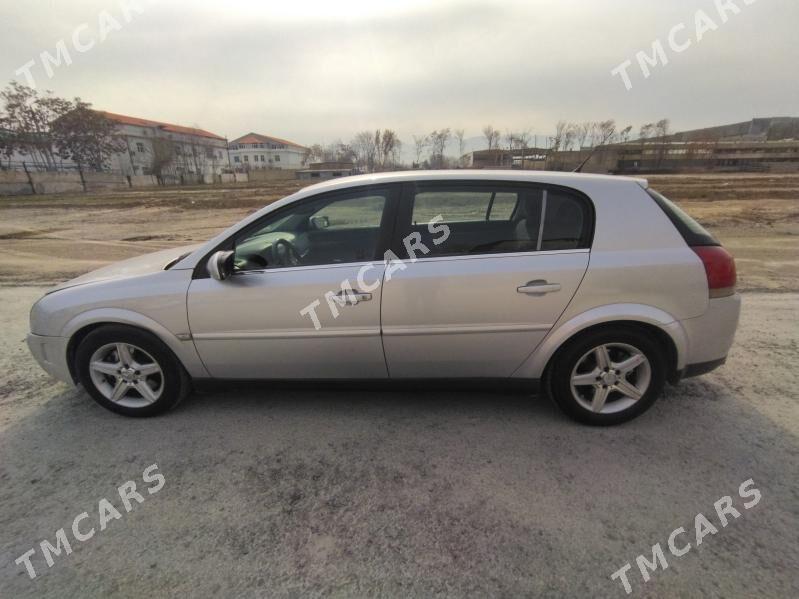 Opel Signum 2003 - 80 000 TMT - Tejen - img 3