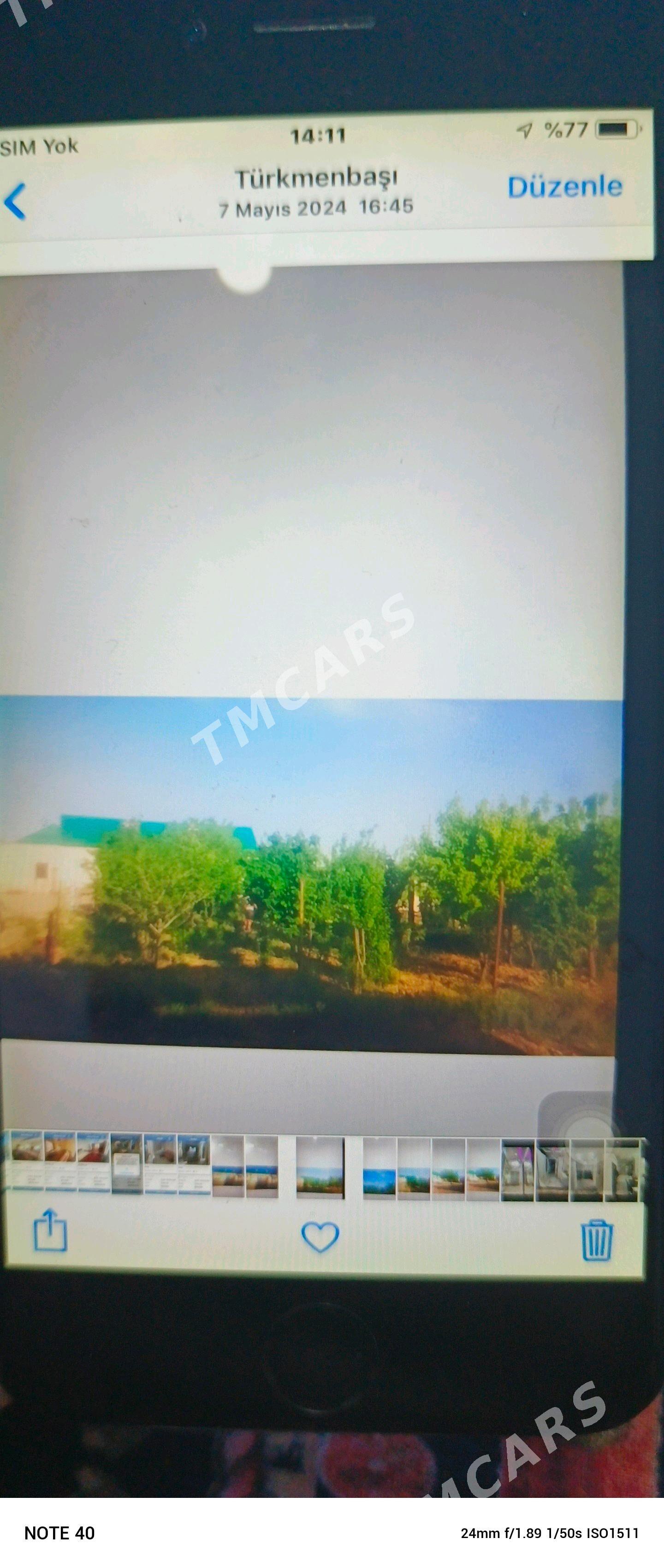 şatlyk jay - Bereket - img 3