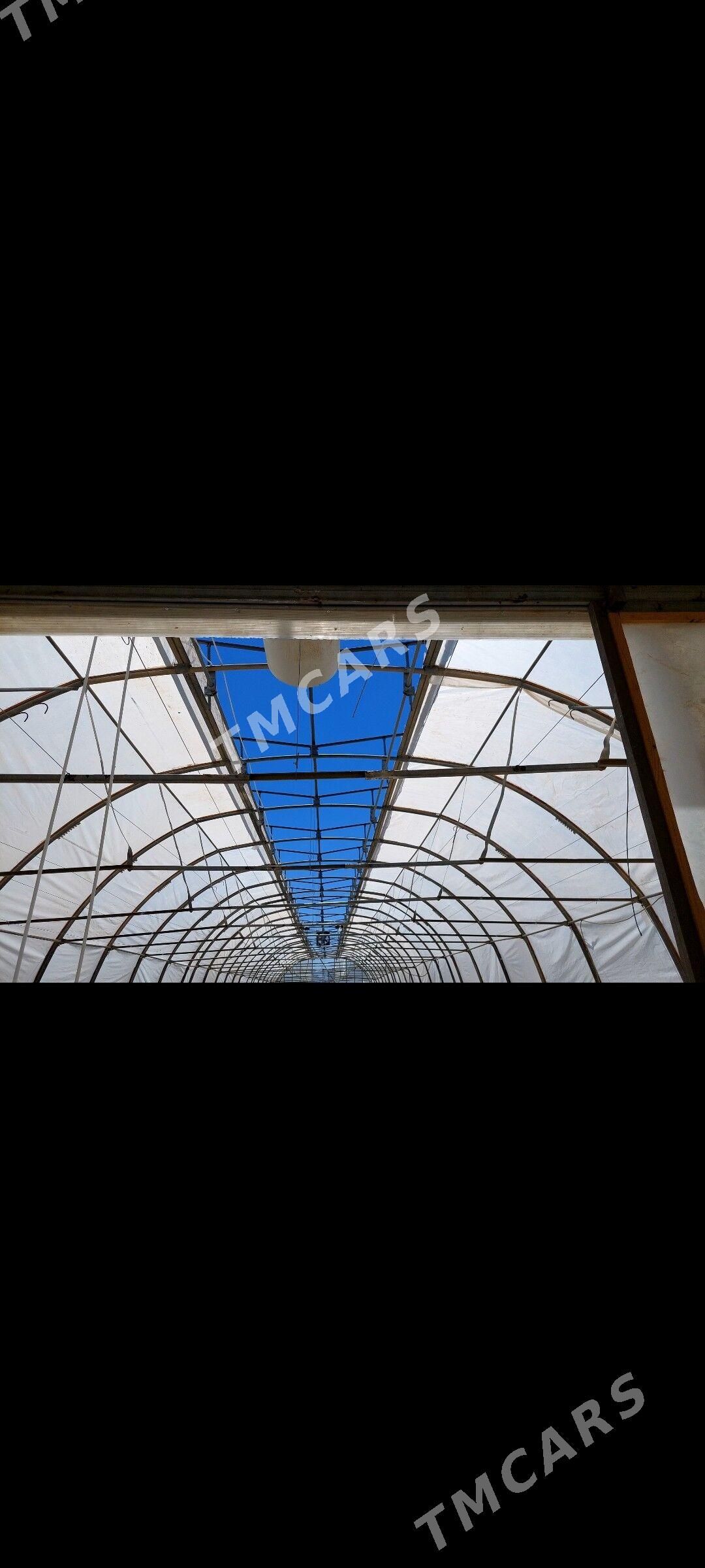 teplisa/теплица - Aşgabat - img 2