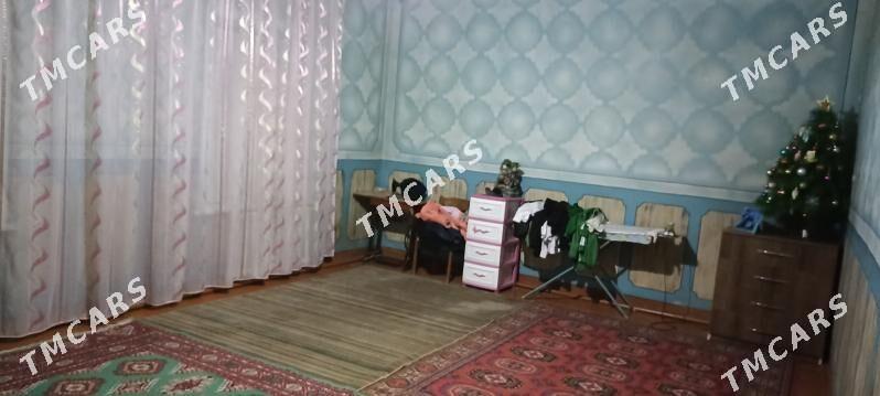 satlyk jay - Murgap - img 2
