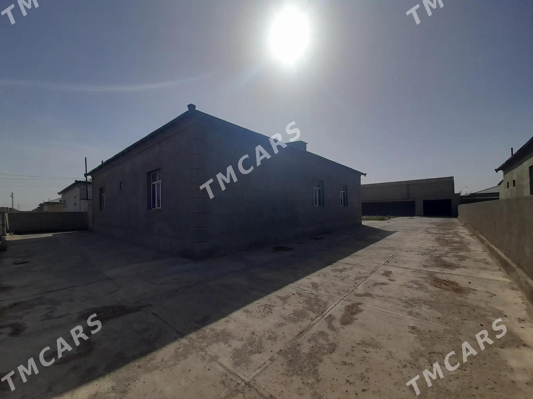 Taze oba miras bazar 12 sot - Дашогуз - img 4