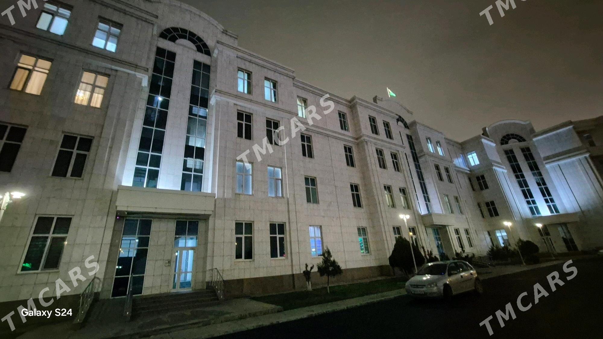 Eýesinden gogul elitga - Aşgabat - img 8