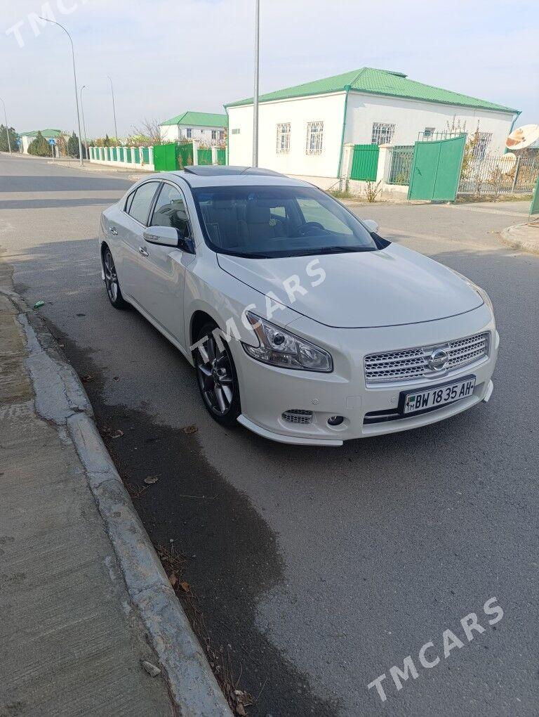 Nissan Maxima 2010 - 130 000 TMT - Ak bugdaý etraby - img 2