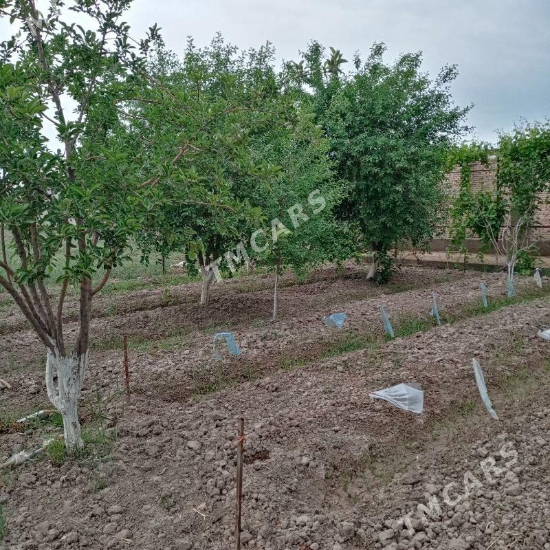 söwda we biznes üçin ýer 6 sot - Байрамали - img 2
