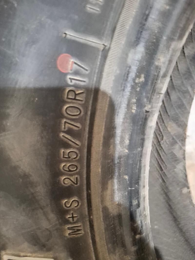 ayak teker 250 TMT - Balkanabat - img 3