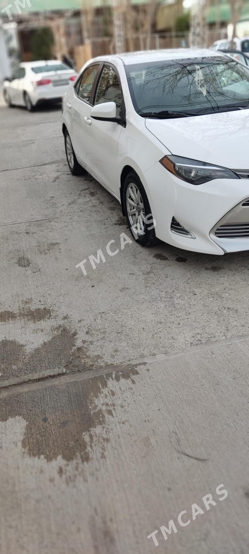 Toyota Corolla 2019 - 210 000 TMT - Aşgabat - img 2