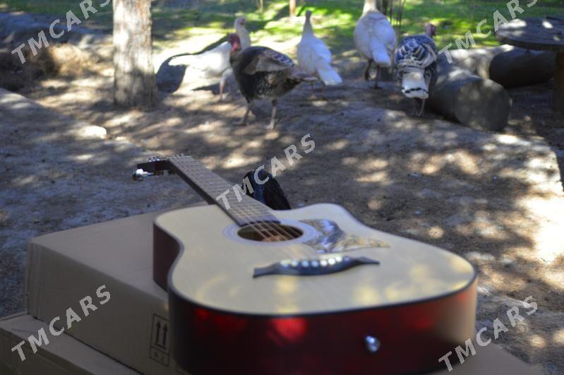 GITARA AKUSTIKA KOMPLEKT - Дашогуз - img 2
