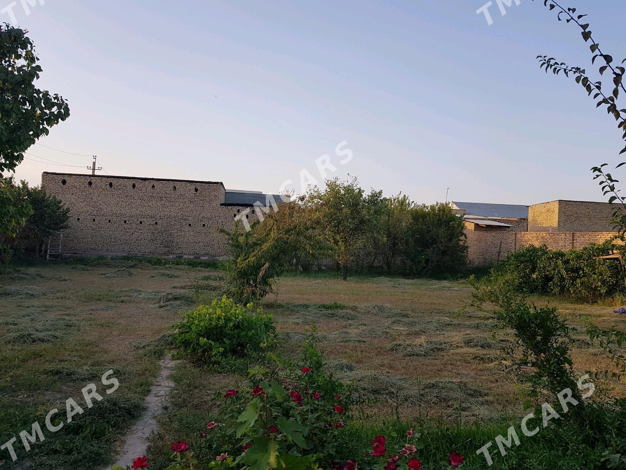 Jaý - Türkmenabat - img 2