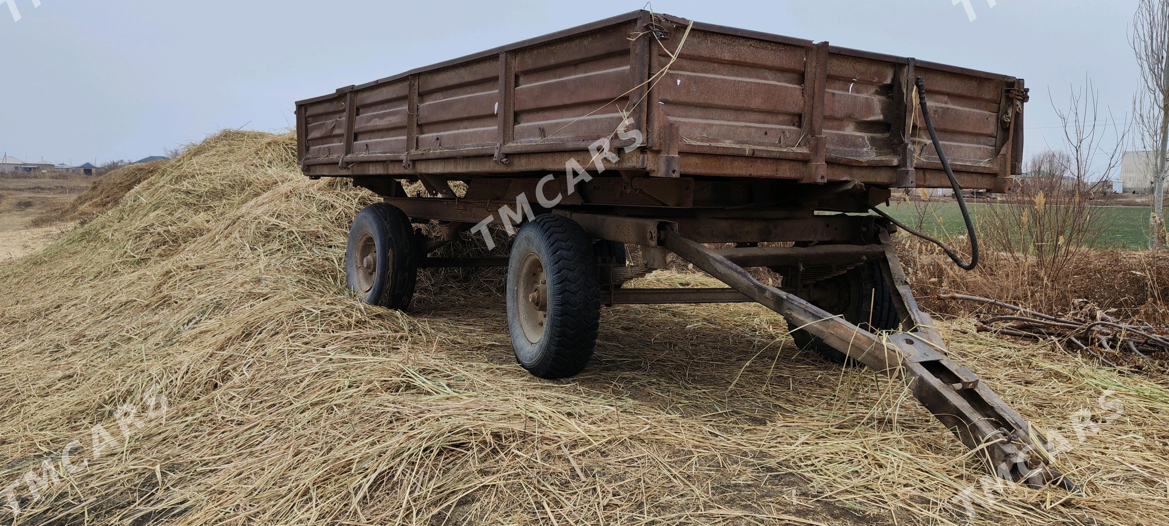 MTZ 80 1996 - 8 400 TMT - Гороглы (Тагта) - img 5