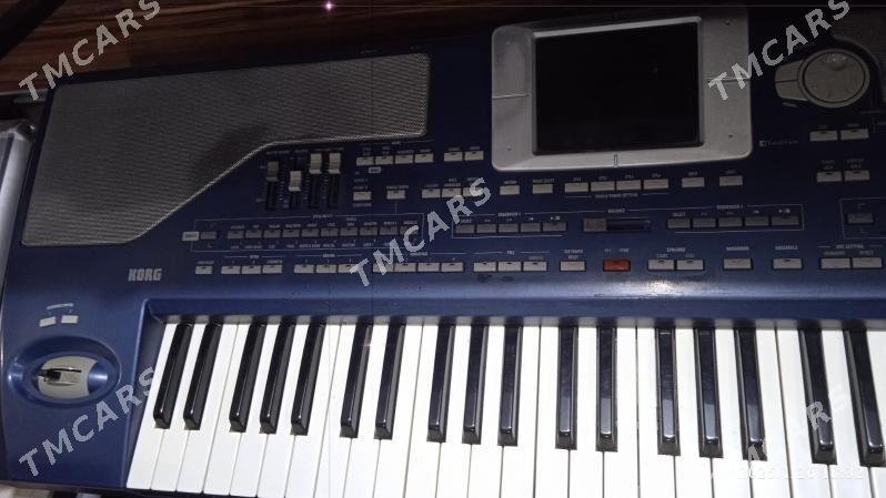 KORG PA800 - Мары - img 2