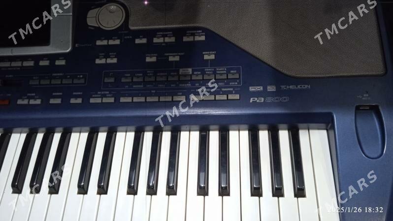 KORG PA800 - Мары - img 3